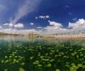 دریاچه سرآب نیلوفر
